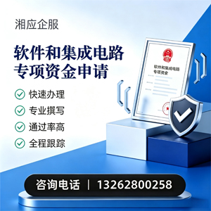 长沙软件和集成电路专项资金申报服务