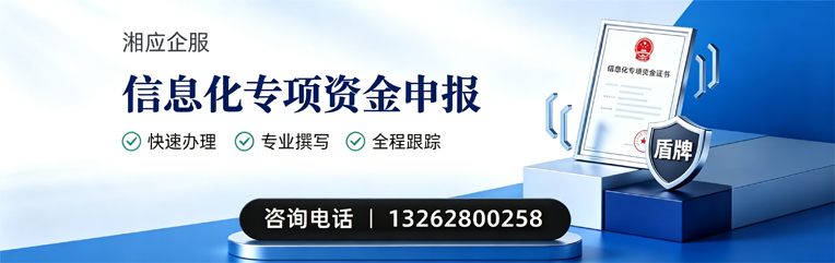 长沙信息化专项资金申报服务
