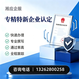 长沙专精特新企业申报服务