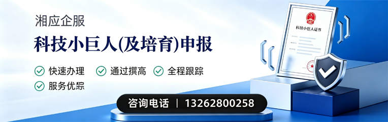 长沙科技小巨人及培育企业申报服务