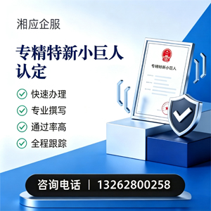 长沙专精特新小巨人申报服务