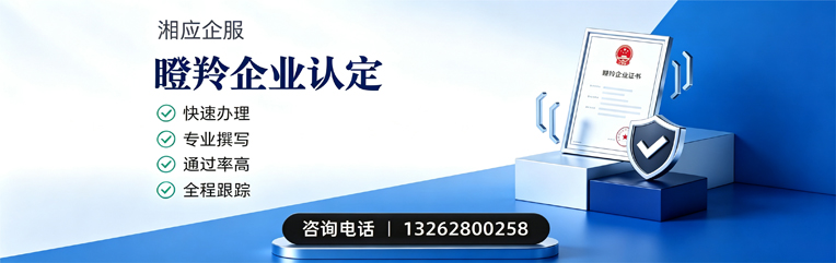 长沙瞪羚企业认定申报服务