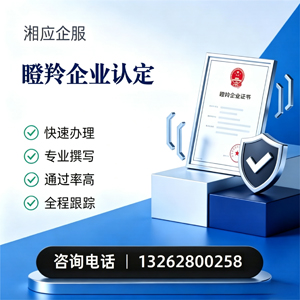 长沙瞪羚企业认定申报服务