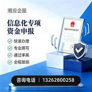长沙信息化专项资金申报服务