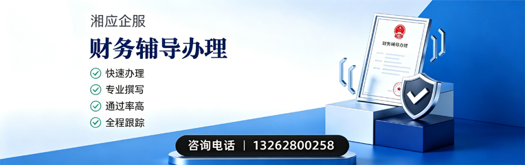 长沙财务辅导申请服务