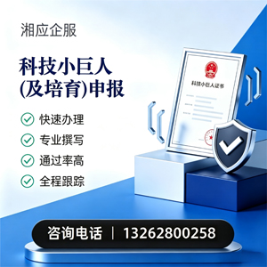 长沙科技小巨人及培育企业申报服务
