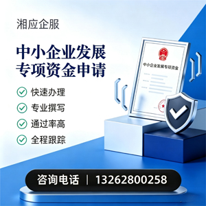 长沙中小企业发展专项资金申报服务