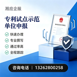 长沙专利试点示范单位申报服务