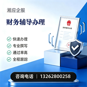 长沙财务辅导申请服务