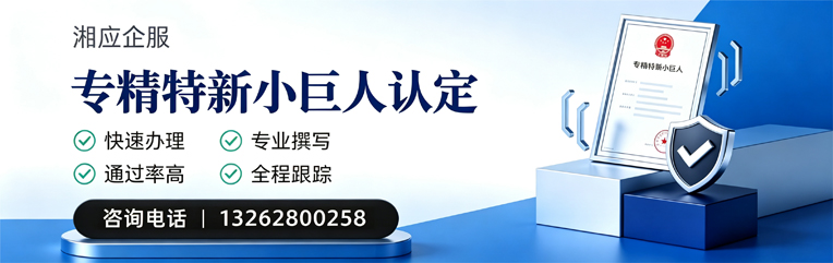 长沙专精特新小巨人申报服务